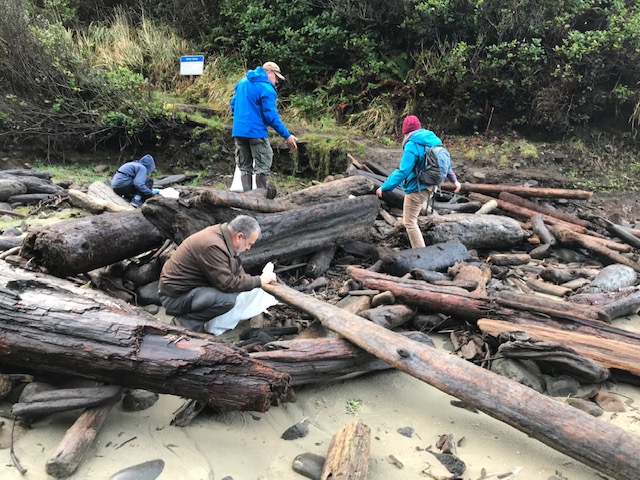 Cape Perpetua marine debris cleanup
