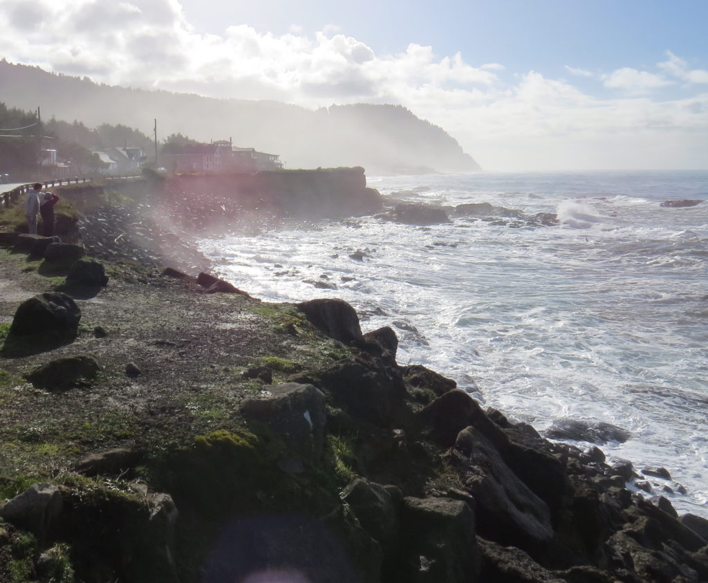 King Tide Photo Project