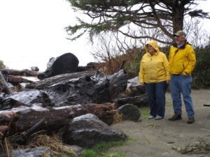 Beachside State Park campground hosts