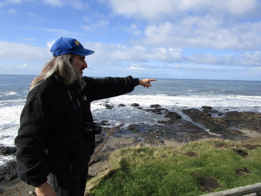 King Tide Photo Project