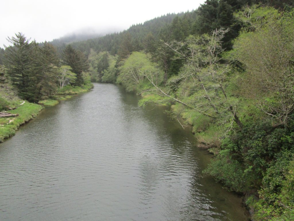 Yachats River