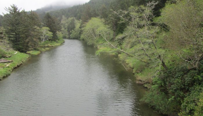 Yachats River