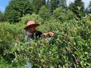 Yachats Farm Tour