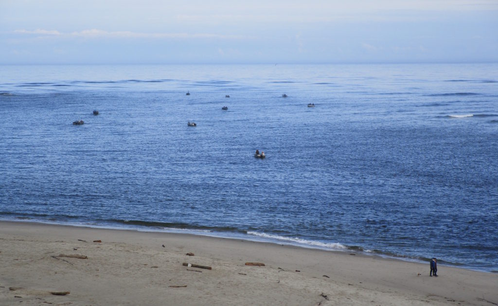 Alsea Bay fishing