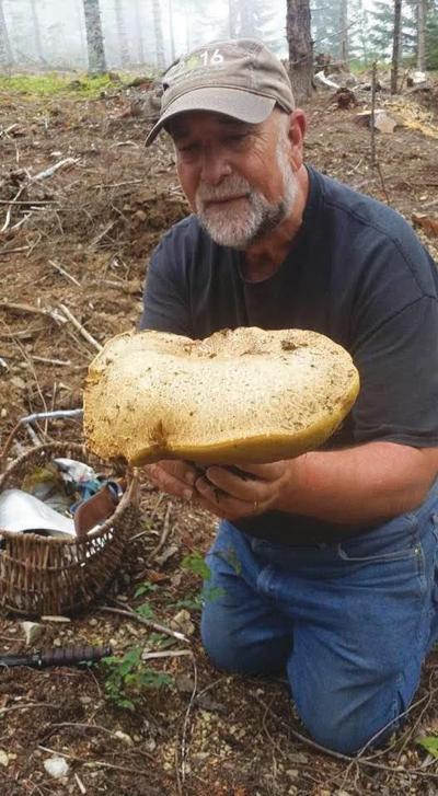 Yachats gets ready to kick off 20 years of celebrating mushrooms with ...