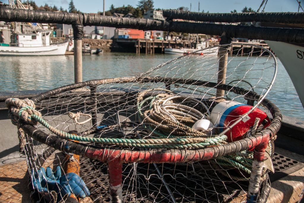 Oregon commercial crab season could get off to its earliest start in 7