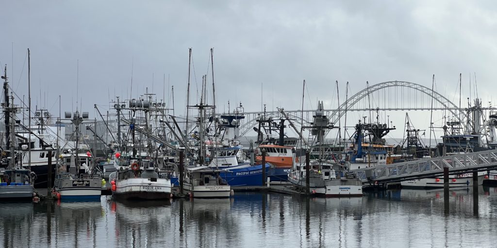 After ocean's closure, the commercial fishing season for Chinook salmon off  Oregon coast could be a disaster •