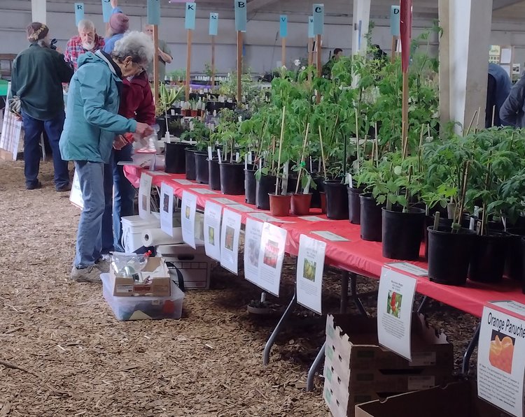 Looking for a green thumb? Lincoln County Master Gardeners hold annual ...