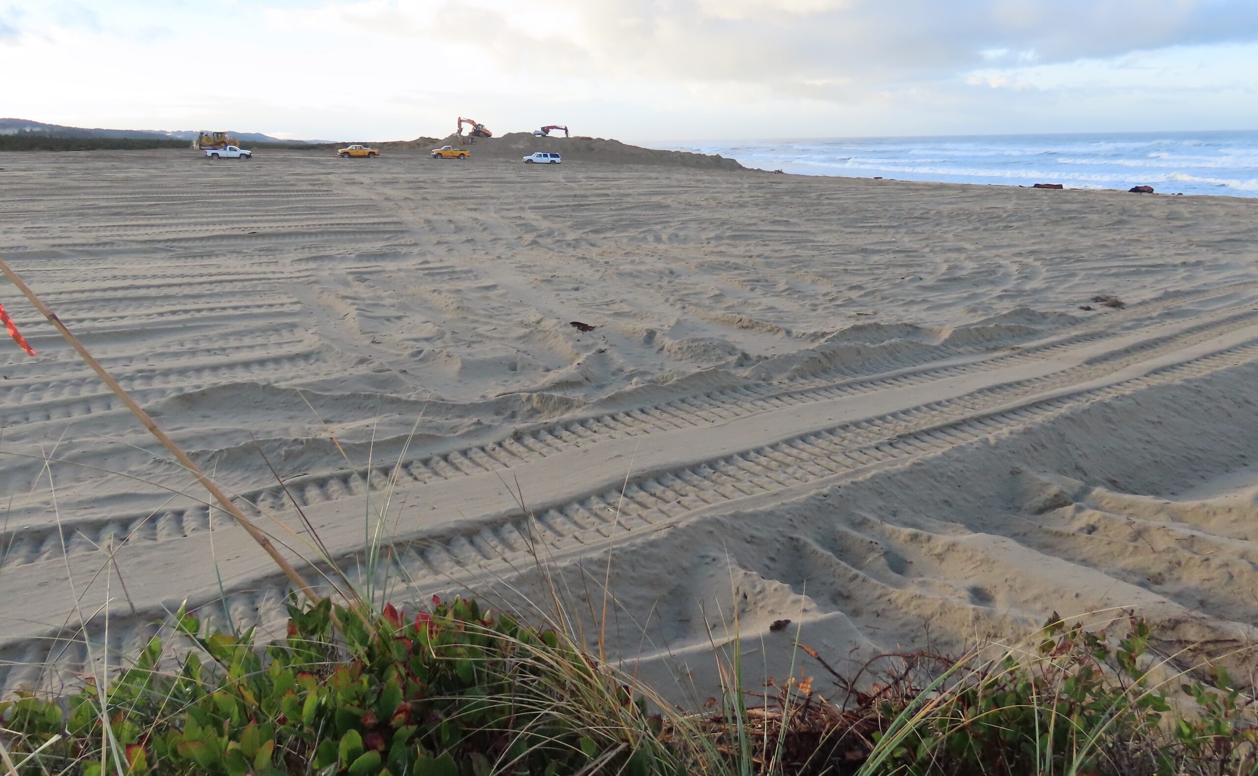 Forest Service taking out vegetation, moving sand to create 50 acres of ...