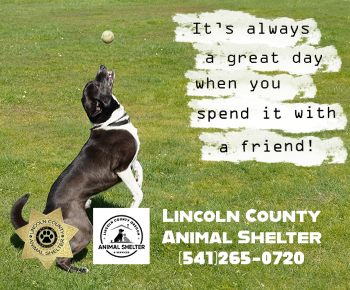 Lincoln County Animal Shelter Oregon Coast