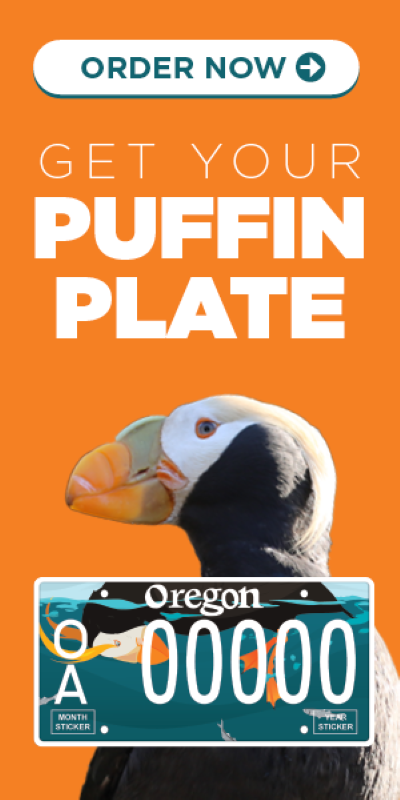 Oregon Coast Aquarium Puffin Plate Newport Oregon