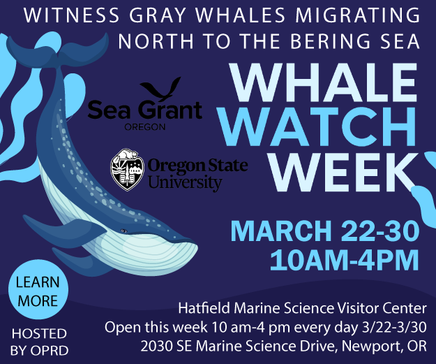 OSU Hatfield Marine Science Visitor Center Whale Watch Week